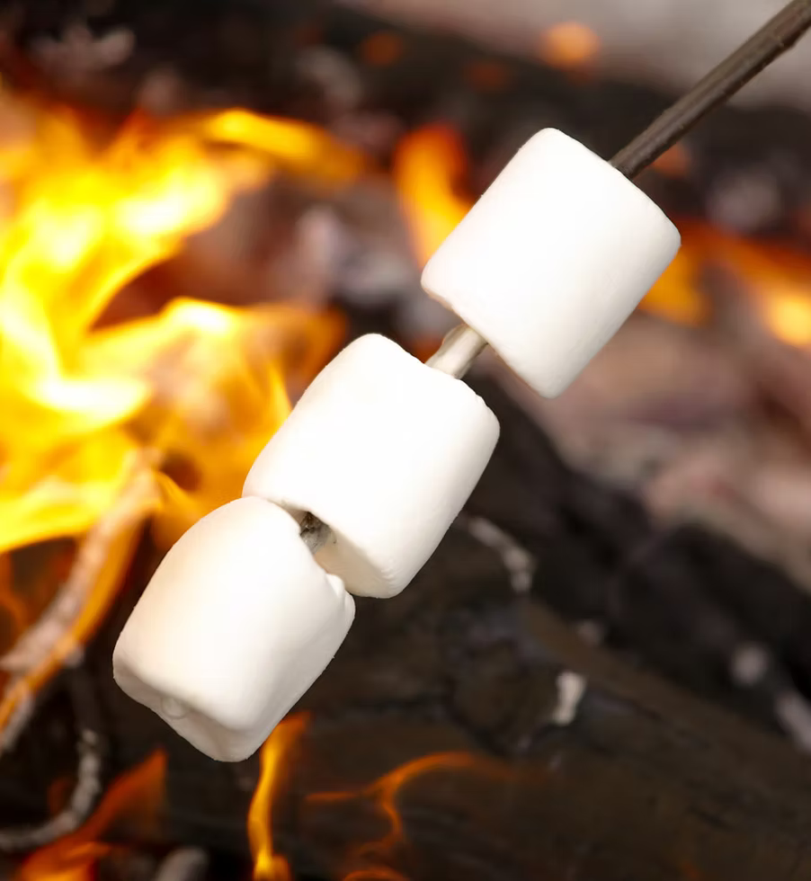 A cozy evening by the fire